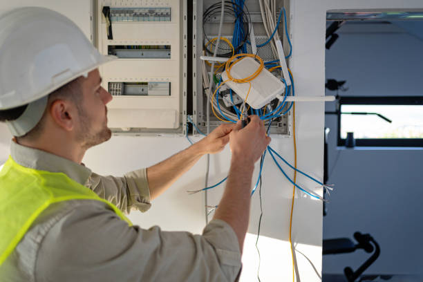 Best Electric Panel Repair  in Moon Lake, FL